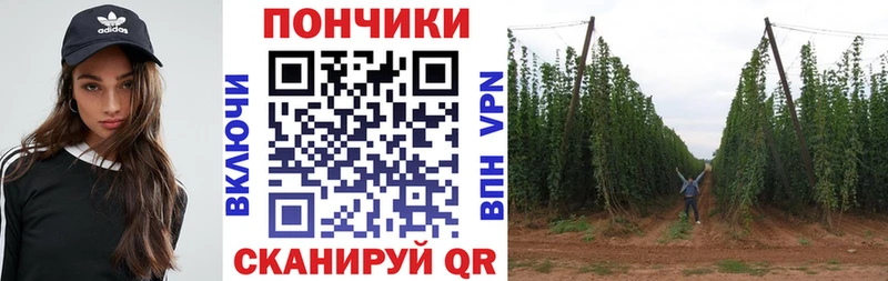Псилоцибиновые грибы Верхоянск