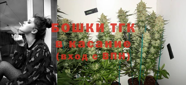 ешки Аркадак