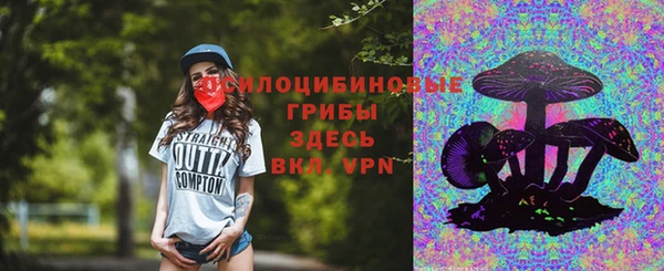ешки Аркадак