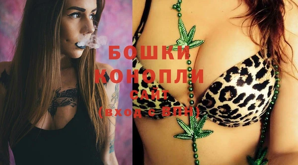 ешки Аркадак