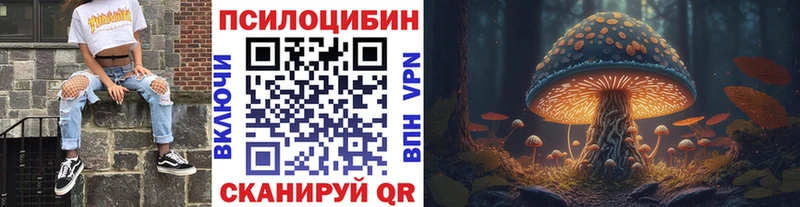 площадка официальный сайт Верхоянск Галлюциногенные грибы Psilocybine cubensis